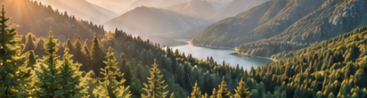 Paesaggio forestale, immagine illustrativa