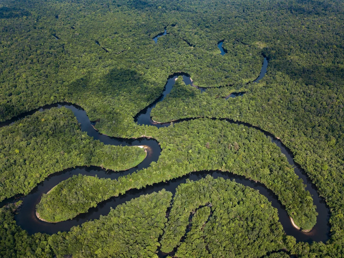Paesaggio forestale del Southern Cardamom REDD+ Project in Cambogia