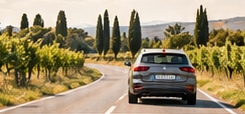 Automobile su una strada di campagna alberata