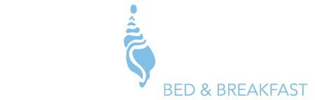 Logo ufficiale Mare Indaco